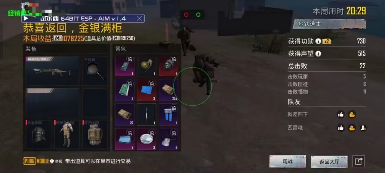 和平精英【雪儿内核】辅助